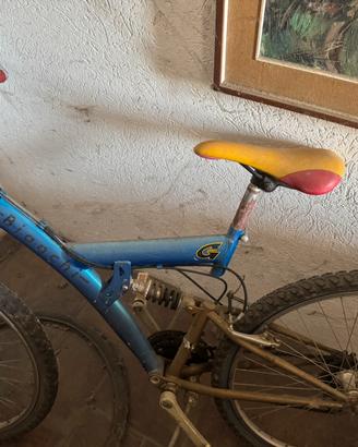 Bici da ragazzo