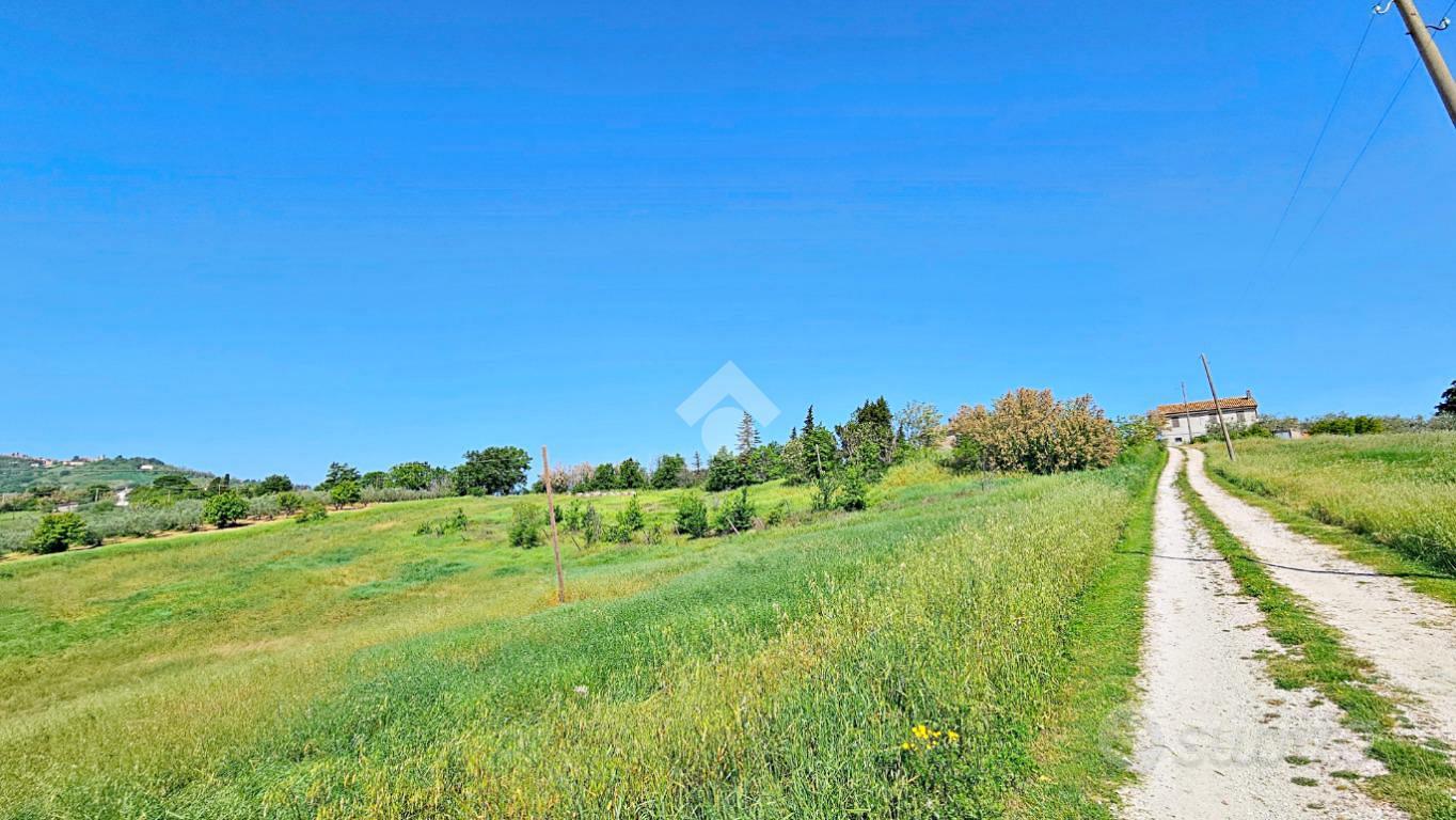 TER. AGRICOLO A SALUDECIO - View 4