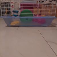 gabbia per 2 criceti