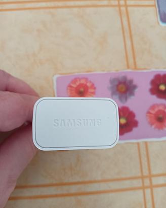 Adattatore Samsung Originale per dispositivi mobil