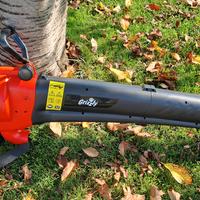 Grizzly aspira-soffia 