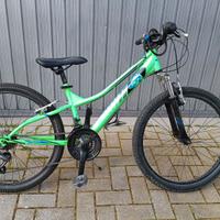 MTB mountain-bike Alpina da 24