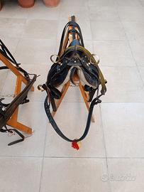 Finimenti per calesse/traino