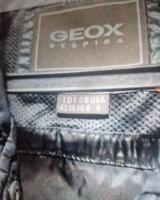 piumino nuovo "Geox"