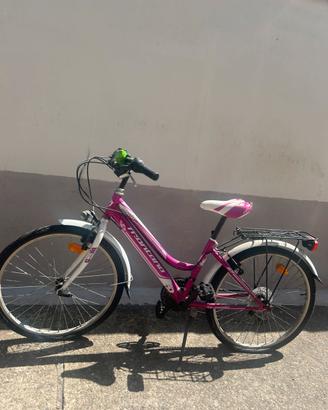 Bicicletta Montana