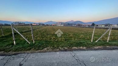 TER. AGRICOLO A CAPRIOLO