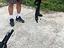 Immagine 5
