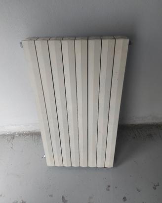 Termosifone in ghisa