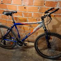 Mountainbike Bottecchia Fx510