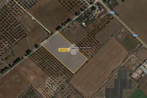 TER. AGRICOLO A NARDÒ