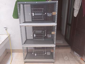 gabbia divisa in 3 comparti