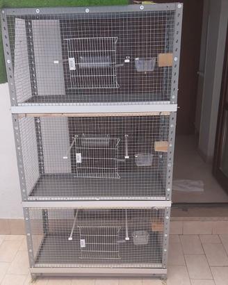 gabbia divisa in 3 comparti