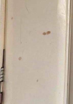 Doni I Mondi e gli Inferni - Einaudi