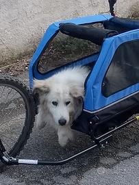Carrellino per bici con 3 ruote