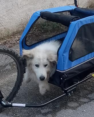 Carrellino per bici con 3 ruote
