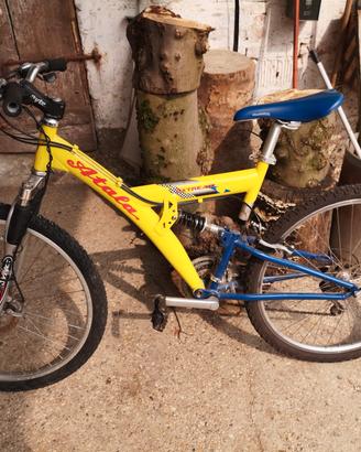 Mountain bike gialla 