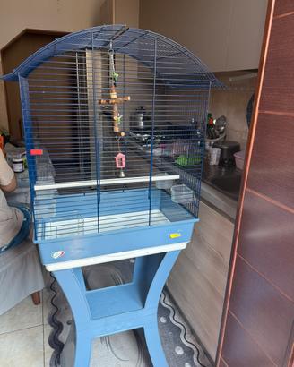 Accessori per animali