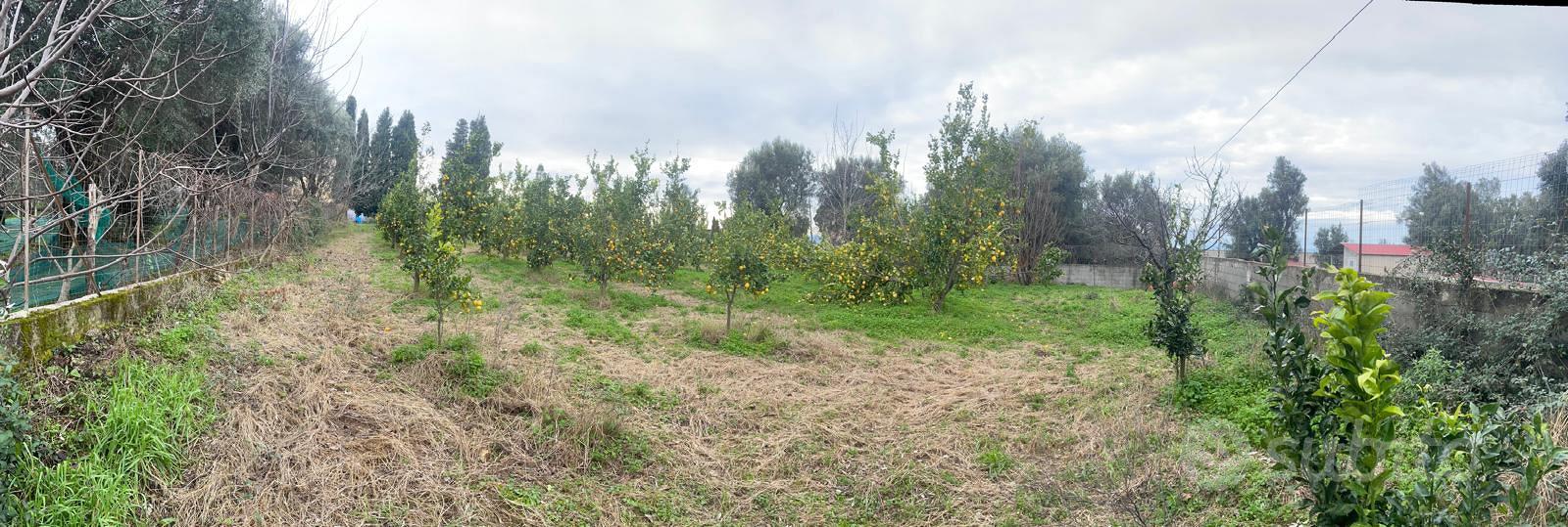 Terreno Agricolo - Vista 3
