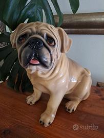 ceramica cane carlino