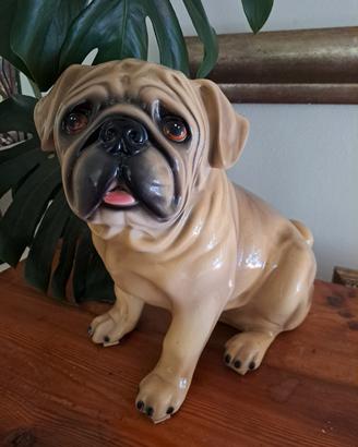 ceramica cane carlino