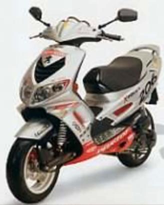 Scooter peugeout 206 WRC