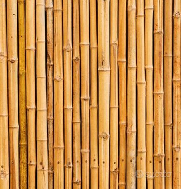 Canne di bambù bamboo - Arredamento e Casalinghi In vendita a Rimini