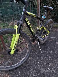 MTB Esperia dominator