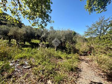 TER. AGRICOLO A DIAMANTE
