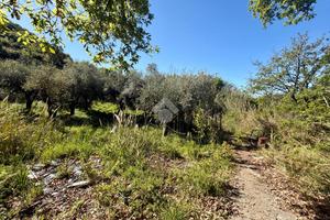 TER. AGRICOLO A DIAMANTE