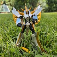 God Raideen - con Scatola