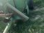 Immagine 12