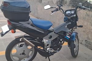 malaguti fifty evolution 
