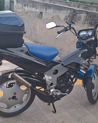 malaguti fifty evolution 