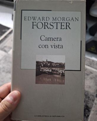 CAMERA CON VISTA