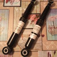 Ammortizzatori posteriori Citroen C4 Picasso