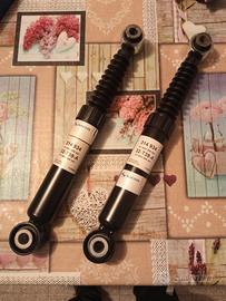 Ammortizzatori posteriori Citroen C4 Picasso