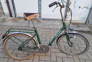biciclette pieghevoli 