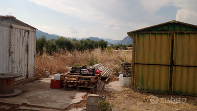 Terreno edificabile uso agricolo