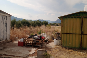 Terreno edificabile uso agricolo