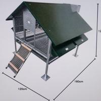 POLLAIO  CAPRI  NEW  PER  GALLINE  OVAIOLE