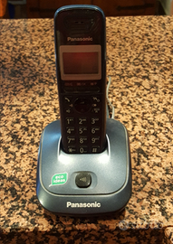 Cordless portatile PANASONIC