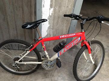 Bicucletta MTB