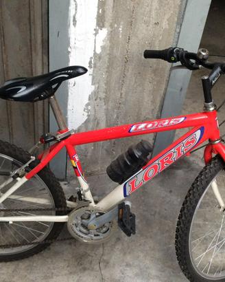 Bicucletta MTB