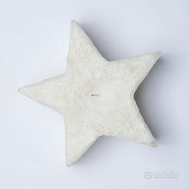 Candela grande a forma di Stella Bianca Decorazion