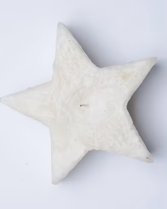 Candela grande a forma di Stella Bianca Decorazion