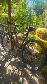 mountain bike rockrider 520