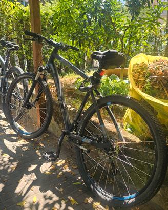 mountain bike rockrider 520