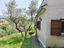 Immagine 24