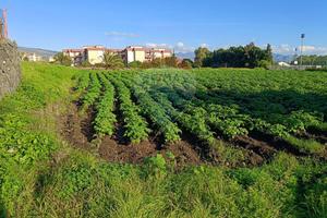 Terreno Edificabile - Riposto