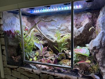Terrario bio attivo
